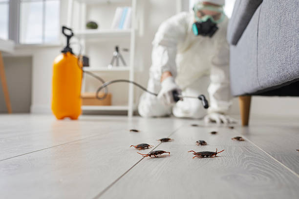 Post-Treatment Bed Bug Interceptor Monitoring in Onset