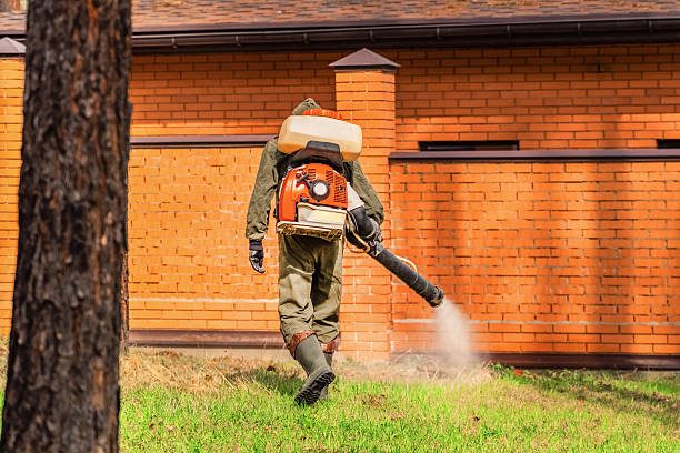 Bed Bug Clearance Verification and Documentation in Onset
